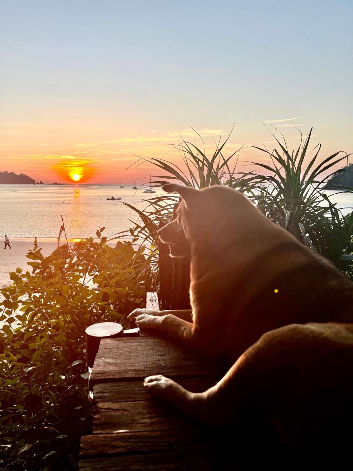 Starlight Beach Resort เกาะพยาม ภายนอก รูปภาพ